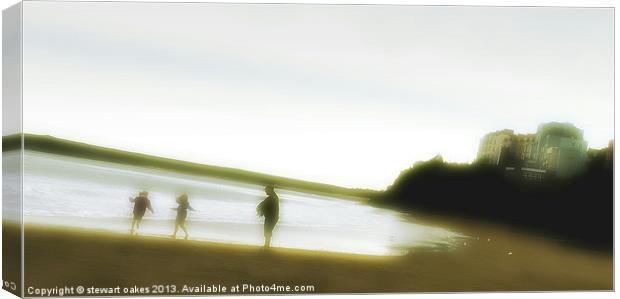 surprise trip to the beach Canvas Print by stewart oakes
