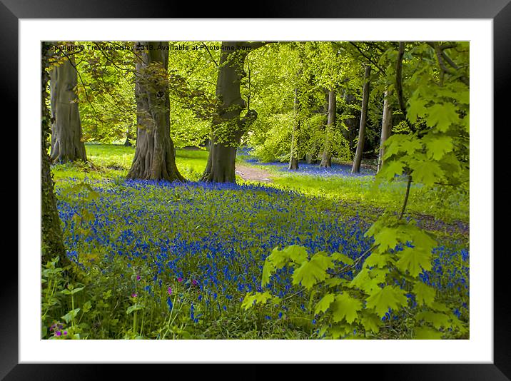 Woodland Spring Framed Mounted Print by Trevor Kersley RIP