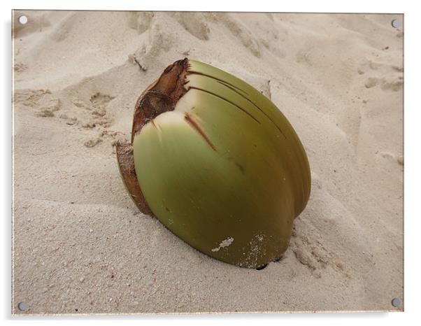 Coconut Acrylic by Lois Eley