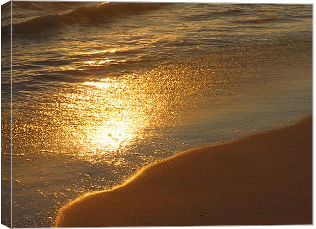 Reflections of sunset Canvas Print by Lois Eley