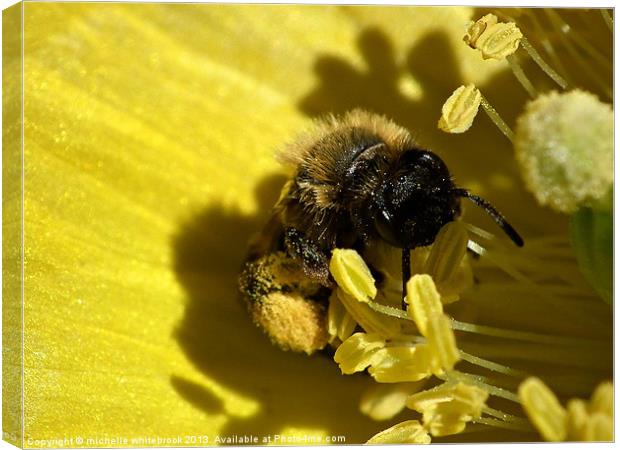 Busy Bee Canvas Print by michelle whitebrook