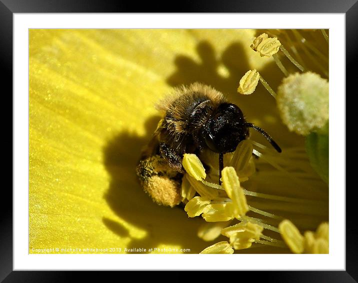 Busy Bee Framed Mounted Print by michelle whitebrook