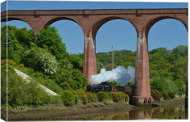 Steam Train Whitby viaduct Canvas Print by colin potts