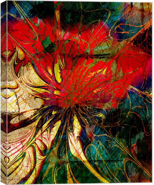 Red Nasturtium Canvas Print by Amanda Moore