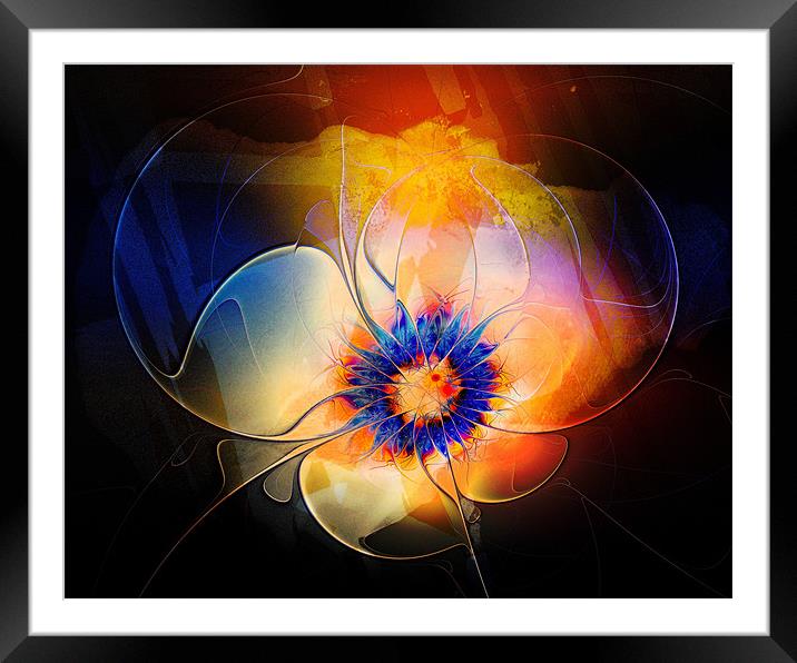 Sublime Framed Mounted Print by Amanda Moore