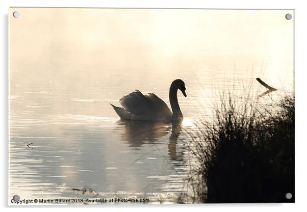 Swan at Dawn Acrylic by Martin Billard