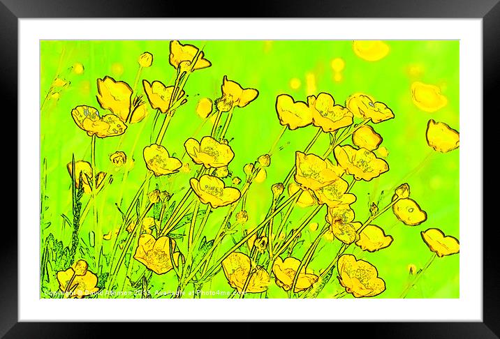MELLOW YELLOW Framed Mounted Print by David Atkinson
