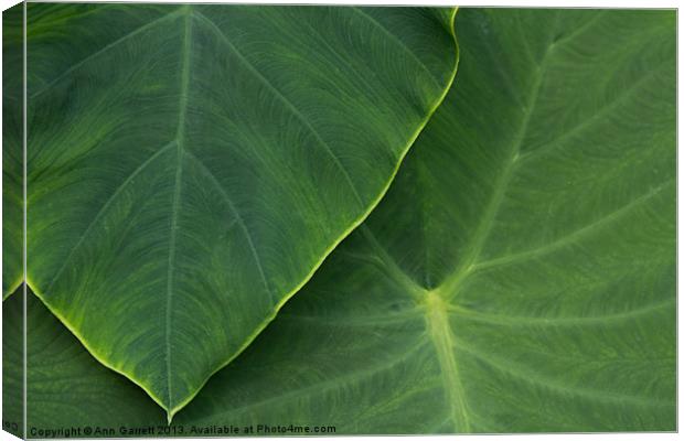 Tropical Leaf Abstract Canvas Print by Ann Garrett