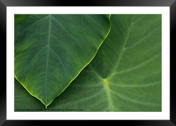 Tropical Leaf Abstract Framed Mounted Print by Ann Garrett
