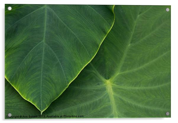Tropical Leaf Abstract Acrylic by Ann Garrett