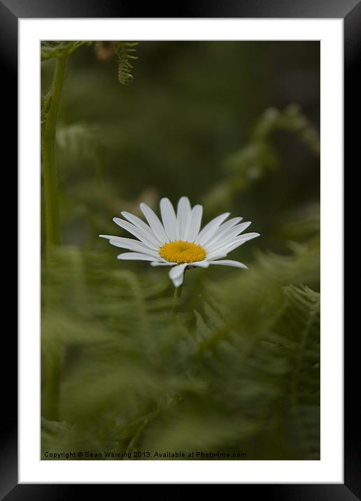 In the green Framed Mounted Print by Sean Wareing