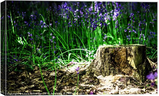 Bluebell Wood Canvas Print by Laura Witherden