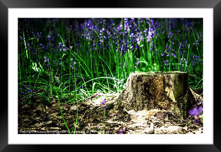 Bluebell Wood Framed Mounted Print by Laura Witherden