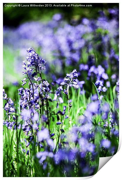 Bluebells Print by Laura Witherden