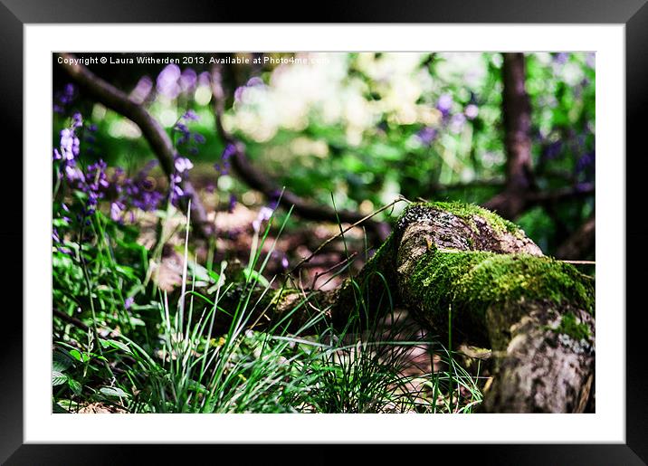 Natural Vibrance Framed Mounted Print by Laura Witherden