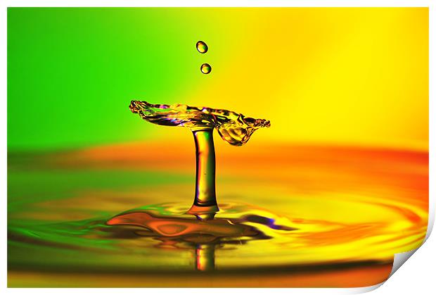 fluid Art droplet splash Print by Terry Pearce
