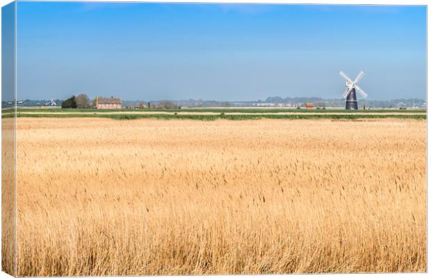 Berney Arms Windmill Canvas Print by Stephen Mole