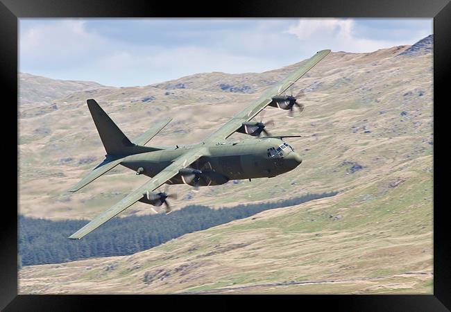 Hercules low flying in Wales Framed Print by Rory Trappe