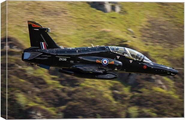 RAF Hawk trainer T2 Canvas Print by Rory Trappe