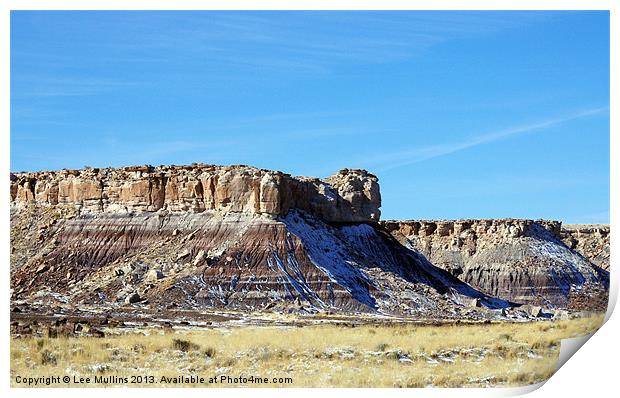 Painted Desert landscape Print by Lee Mullins