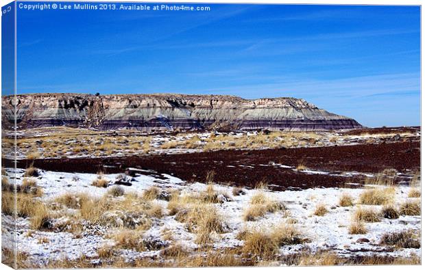 Winter in the Painted Desert Canvas Print by Lee Mullins