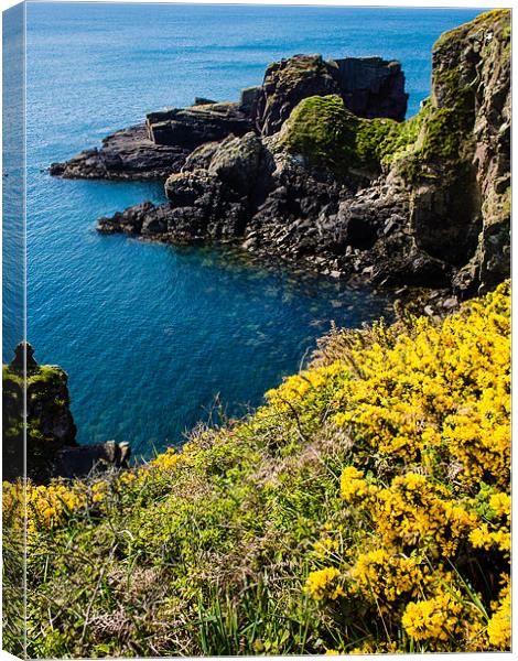 St Nons Bay, Pembrokeshire, Wales, UK Canvas Print by Mark Llewellyn