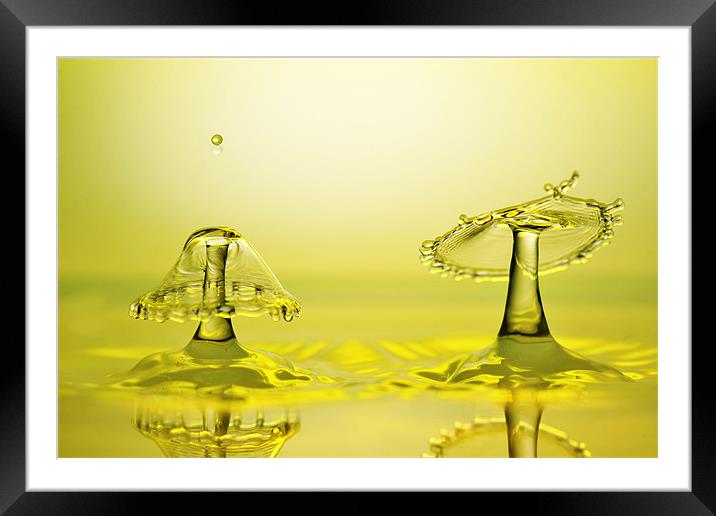 Seeing double Framed Mounted Print by Terry Pearce
