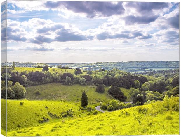 Box Hill Surrey Canvas Print by Clive Eariss