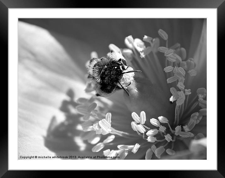 Hello bee Framed Mounted Print by michelle whitebrook