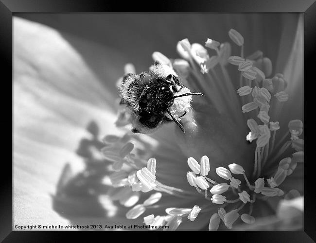 Hello bee Framed Print by michelle whitebrook