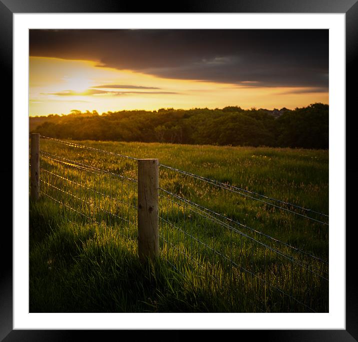 Golden Fence Framed Mounted Print by Ian Johnston  LRPS