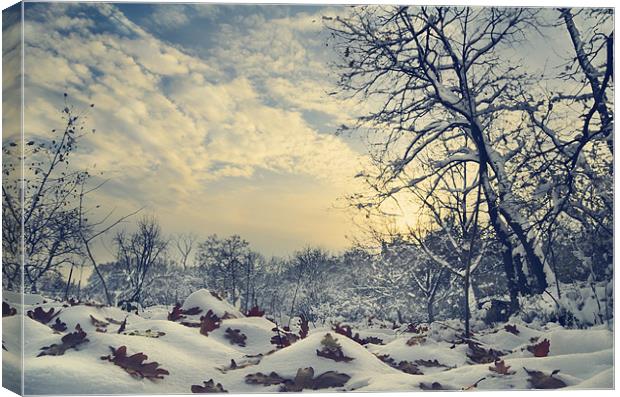 Winter Landscape Canvas Print by Jelena Jovanovic