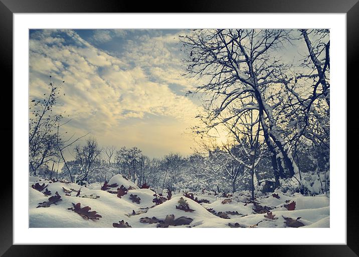 Winter Landscape Framed Mounted Print by Jelena Jovanovic