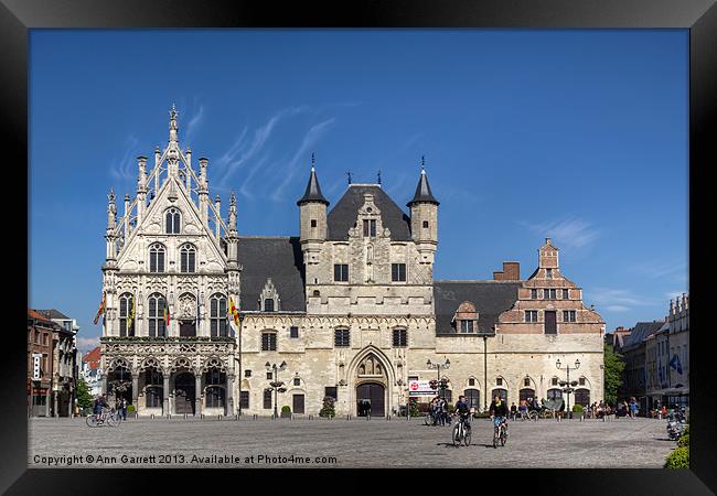 The Town Hall, Mechelen, Belgium Framed Print by Ann Garrett