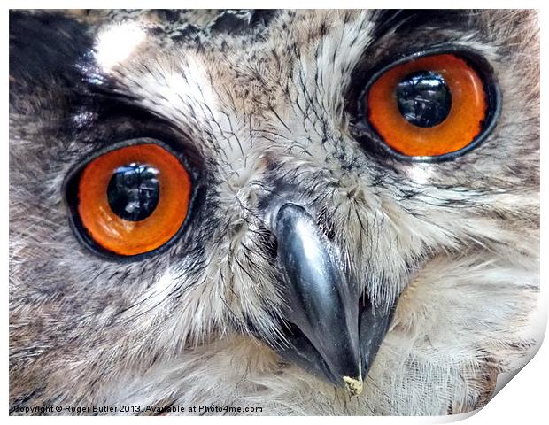 Eagle Owl Closeup Print by Roger Butler