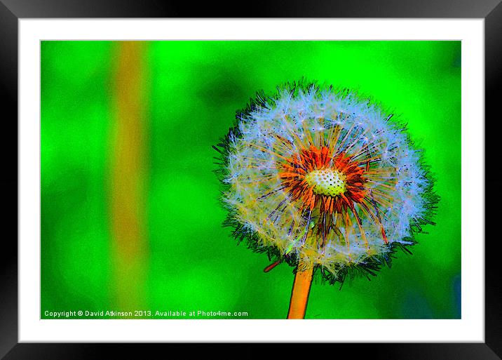 DANDELION DIGITAL CLOCK Framed Mounted Print by David Atkinson