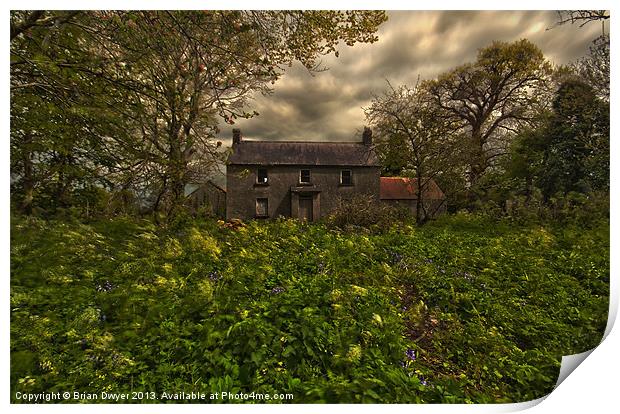 Old irish house Print by Brian O'Dwyer