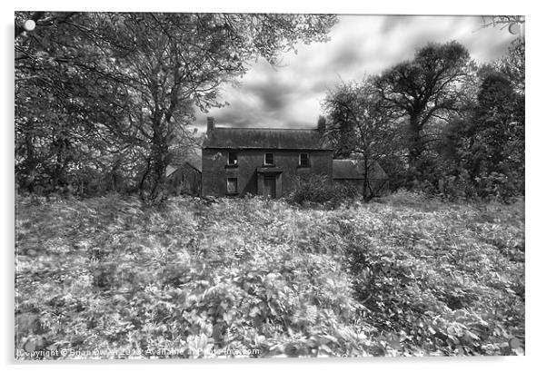 Old irish house Acrylic by Brian O'Dwyer