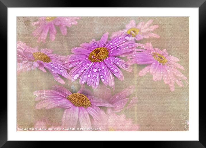Daisy Droplets Framed Mounted Print by Michelle Orai