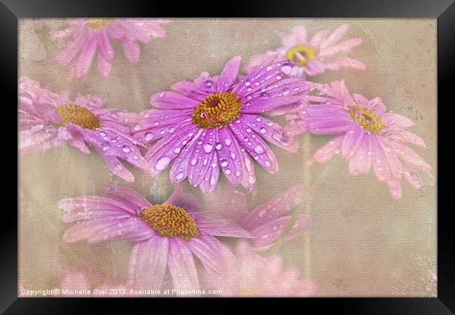 Daisy Droplets Framed Print by Michelle Orai