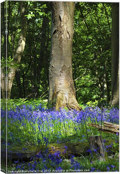 Bluebell Woods Canvas Print by Michelle Orai