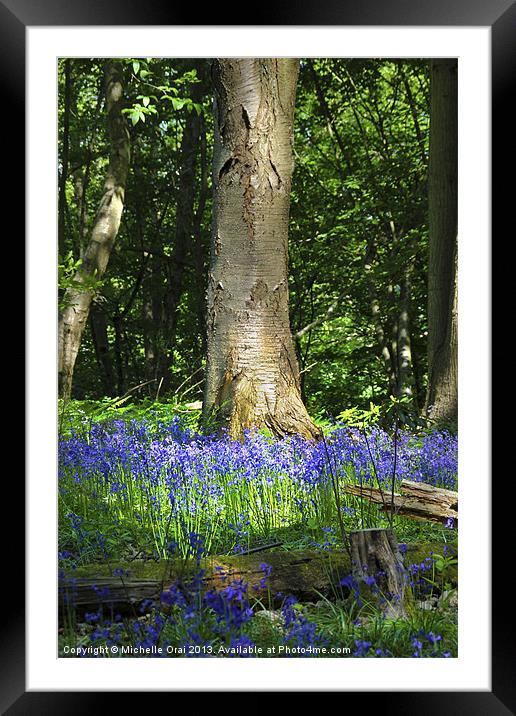 Bluebell Woods Framed Mounted Print by Michelle Orai