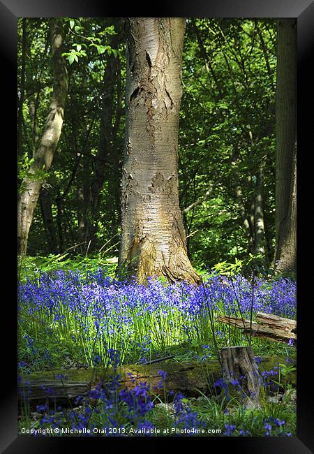 Bluebell Woods Framed Print by Michelle Orai