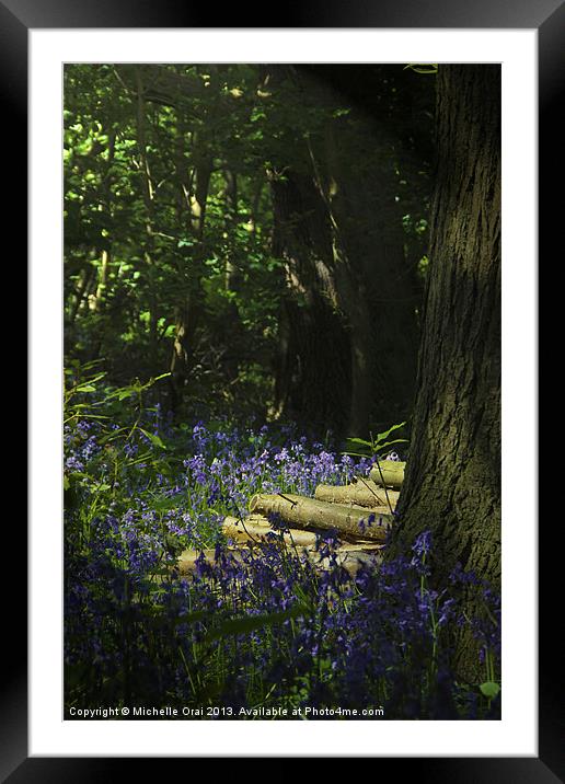 In the Dappled Shade Framed Mounted Print by Michelle Orai
