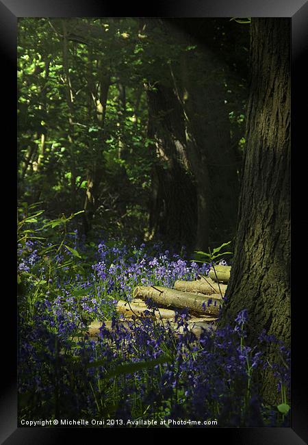 In the Dappled Shade Framed Print by Michelle Orai