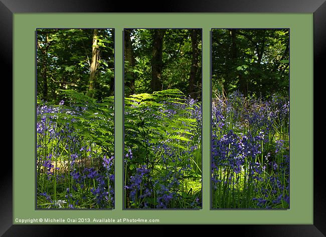 Bluebell Triptych 1 Framed Print by Michelle Orai