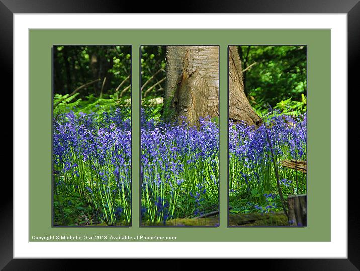 Bluebell Triptych 2 Framed Mounted Print by Michelle Orai