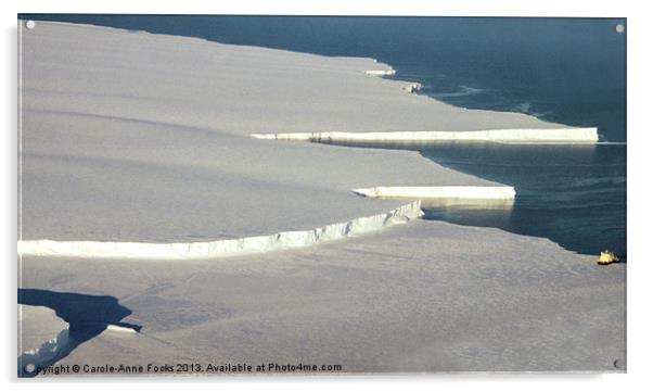 Drygalski Ice Tongue Ross Sea Antarctica Acrylic by Carole-Anne Fooks