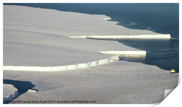 Drygalski Ice Tongue Ross Sea Antarctica Print by Carole-Anne Fooks