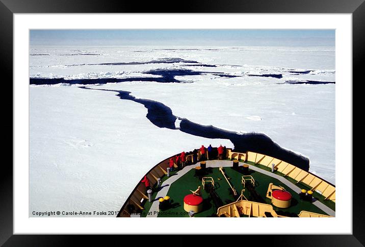 Ice Breaking in the Ross Sea Framed Mounted Print by Carole-Anne Fooks